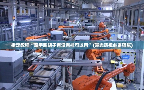 指定教程“牵手跑胡子有没有挂可以用”(曝光透视必备猫腻)