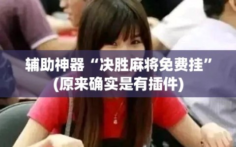 辅助神器“决胜麻将免费挂”(原来确实是有插件)