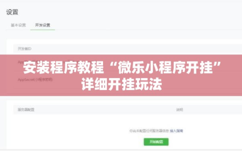 安装程序教程“微乐小程序开挂”详细开挂玩法