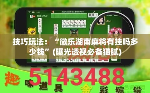 技巧玩法：“微乐湖南麻将有挂吗多少钱”(曝光透视必备猫腻)