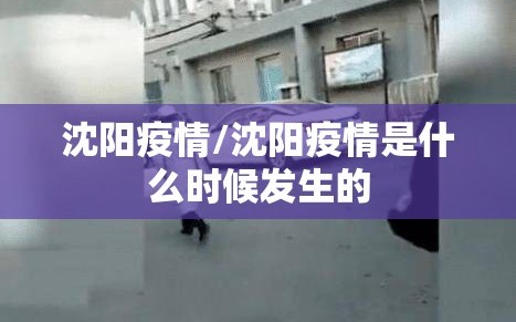 沈阳疫情/沈阳疫情是什么时候发生的