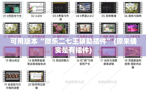 可用版本“微乐二七王辅助插件”(原来确实是有插件)