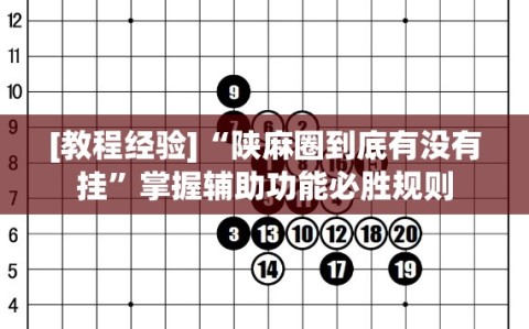 [教程经验]“陕麻圈到底有没有挂”掌握辅助功能必胜规则