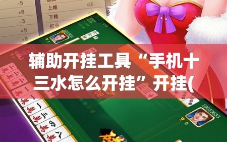 辅助开挂工具“手机十三水怎么开挂”开挂(透视)辅助神器