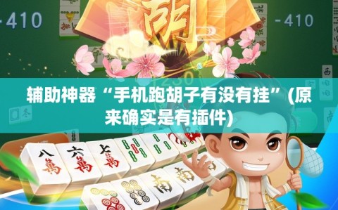 辅助神器“手机跑胡子有没有挂”(原来确实是有插件)