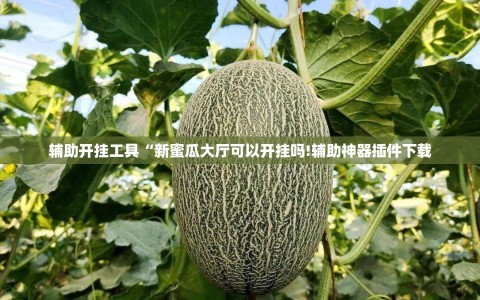 辅助开挂工具“新蜜瓜大厅可以开挂吗!辅助神器插件下载