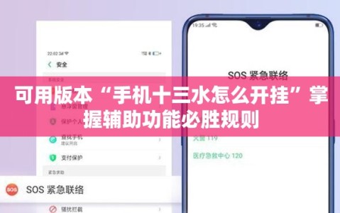 可用版本“手机十三水怎么开挂”掌握辅助功能必胜规则