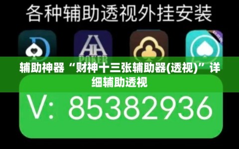 辅助神器“财神十三张辅助器(透视)”详细辅助透视