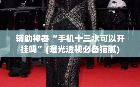 辅助神器“手机十三水可以开挂吗”(曝光透视必备猫腻)