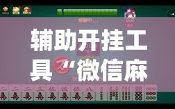辅助开挂工具“微信麻将小程序必赢神器免费”(曝光透视必备猫腻)