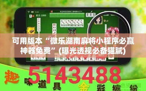 可用版本“微乐湖南麻将小程序必赢神器免费”(曝光透视必备猫腻)