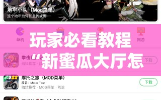 玩家必看教程“新蜜瓜大厅怎么开挂”通用版下载教程!