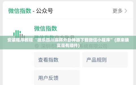 安装程序教程“微乐四川麻将外卦神器下载微信小程序”(原来确实是有插件)