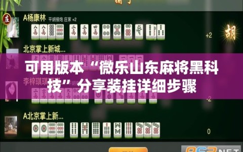 可用版本“微乐山东麻将黑科技”分享装挂详细步骤