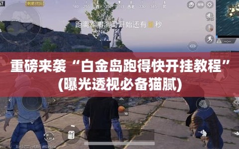 重磅来袭“白金岛跑得快开挂教程”(曝光透视必备猫腻)
