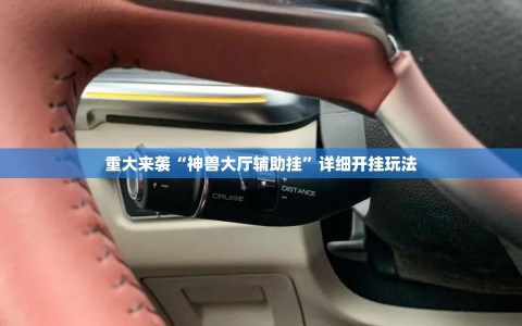 重大来袭“神兽大厅辅助挂”详细开挂玩法