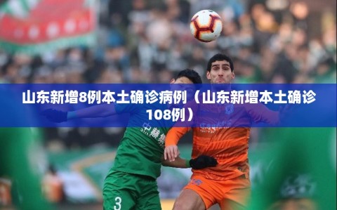 山东新增8例本土确诊病例（山东新增本土确诊108例）