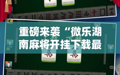 重磅来袭“微乐湖南麻将开挂下载最新版”通用版下载教程!