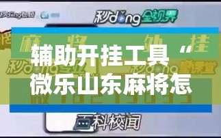 辅助开挂工具“微乐山东麻将怎么才能常赢”通用版下载教程!