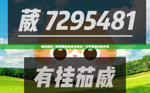 辅助教程“陕麻圈到底有没有挂”分享装挂详细步骤