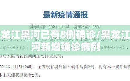 黑龙江黑河已有8例确诊/黑龙江黑河新增确诊病例