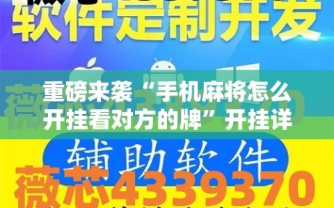 重磅来袭“手机麻将怎么开挂看对方的牌”开挂详细安装教程