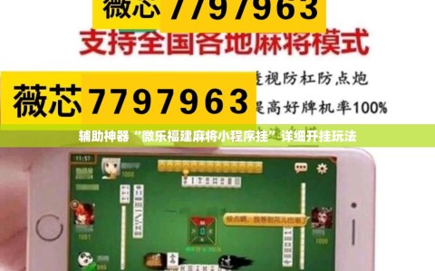 辅助神器“微乐福建麻将小程序挂”详细开挂玩法
