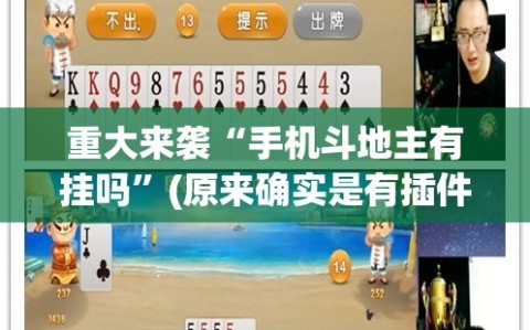 重大来袭“手机斗地主有挂吗”(原来确实是有插件)