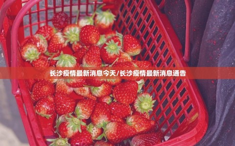 长沙疫情最新消息今天/长沙疫情最新消息通告