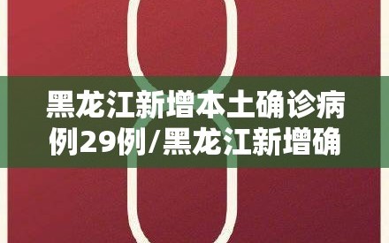 黑龙江新增本土确诊病例29例/黑龙江新增确诊病例28例