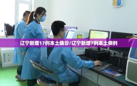 辽宁新增17例本土确诊/辽宁新增7例本土病例