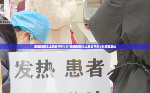 云南新增本土确诊病例2例/云南新增本土确诊病例2例是哪里的