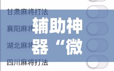 辅助神器“微信里打麻将怎么包赢”分享装挂详细步骤