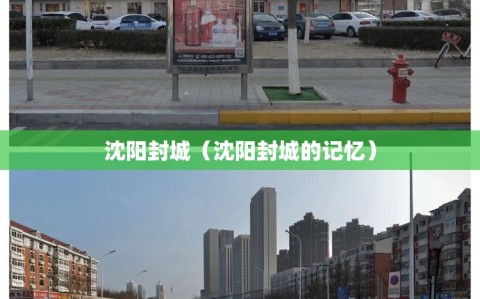 沈阳封城（沈阳封城的记忆）