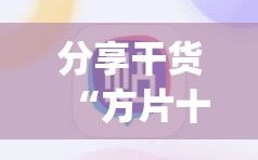 分享干货“方片十三张开挂方法”(必胜开挂神器)