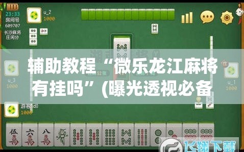 辅助教程“微乐龙江麻将有挂吗”(曝光透视必备猫腻)