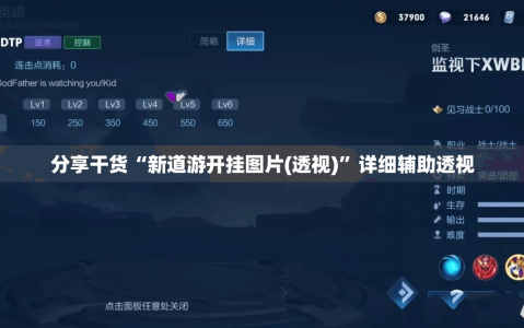 分享干货“新道游开挂图片(透视)”详细辅助透视