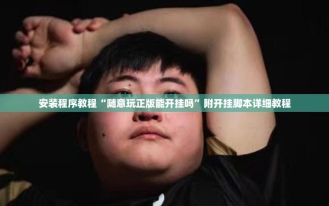 安装程序教程“随意玩正版能开挂吗”附开挂脚本详细教程