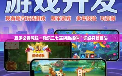 玩家必看教程“微乐二七王辅助插件”详细开挂玩法