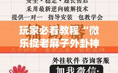 玩家必看教程“微乐捉老麻子外卦神器最新版更新内”(曝光透视必备猫腻)