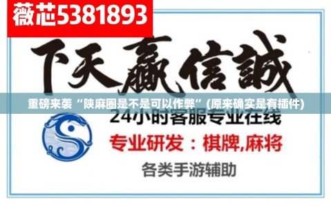 重磅来袭“陕麻圈是不是可以作弊”(原来确实是有插件)
