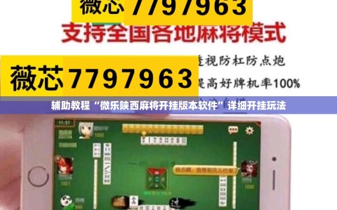辅助教程“微乐陕西麻将开挂版本软件”详细开挂玩法