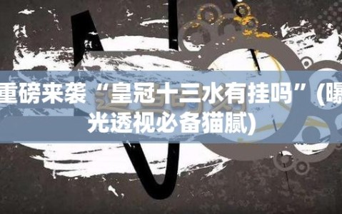 重磅来袭“皇冠十三水有挂吗”(曝光透视必备猫腻)
