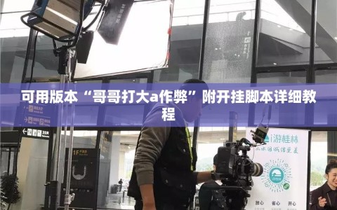 可用版本“哥哥打大a作弊”附开挂脚本详细教程