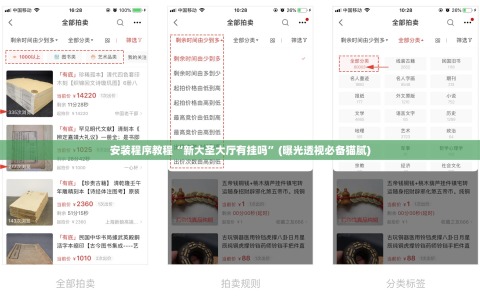 安装程序教程“新大圣大厅有挂吗”(曝光透视必备猫腻)