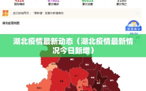 湖北疫情最新动态（湖北疫情最新情况今日新增）