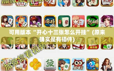 可用版本“开心十三张怎么开挂”(原来确实是有插件)