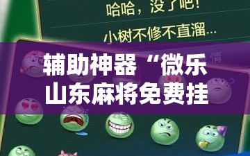 辅助神器“微乐山东麻将免费挂”通用版下载教程!