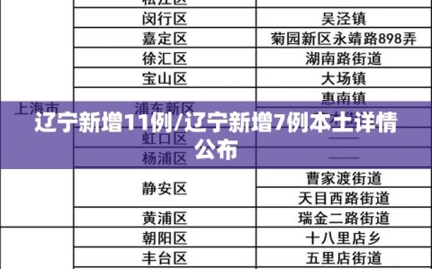 辽宁新增11例/辽宁新增7例本土详情公布