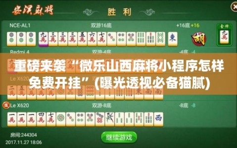 重磅来袭“微乐山西麻将小程序怎样免费开挂”(曝光透视必备猫腻)